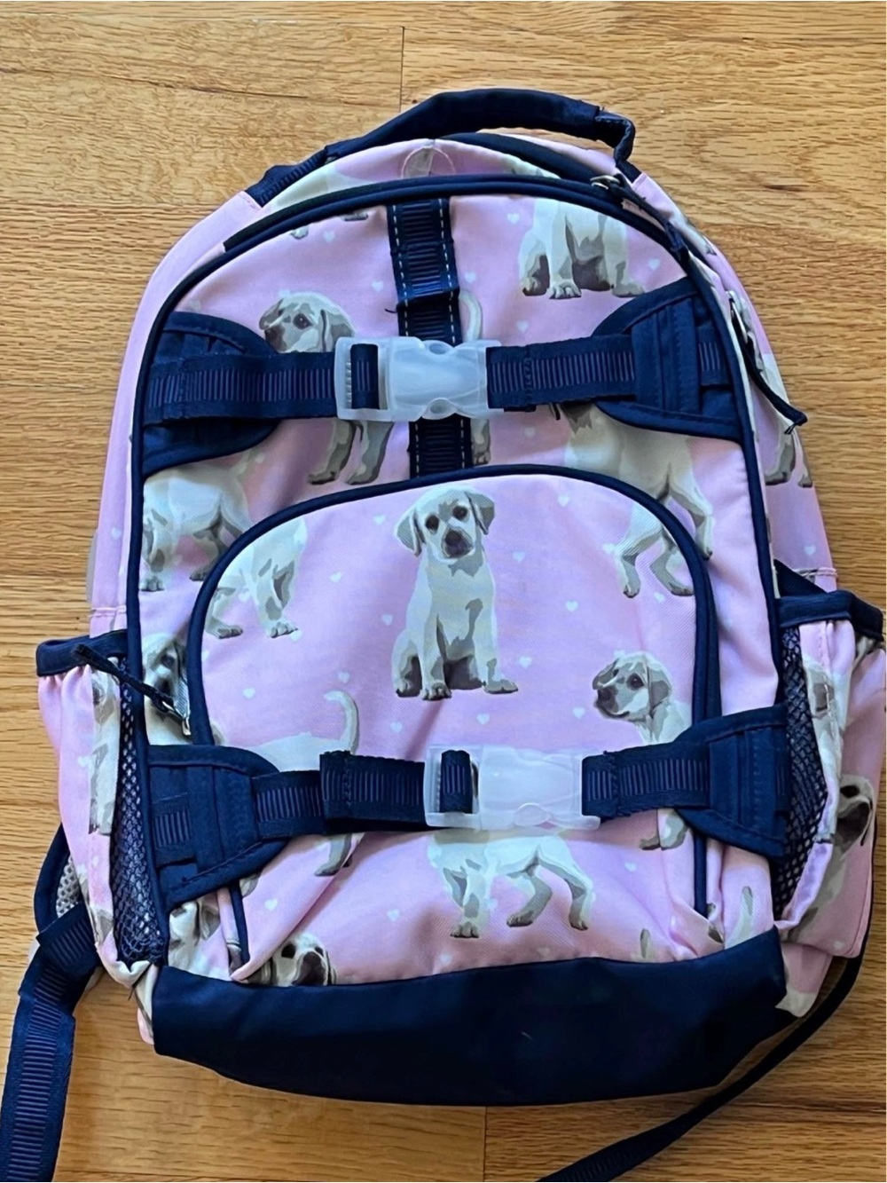 Pottery Barn Kids Small Backpack